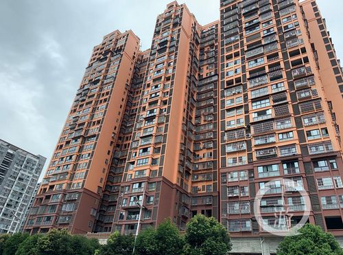 四川男子陷565萬元債務執行難,當事人稱代理律師失職索賠千萬